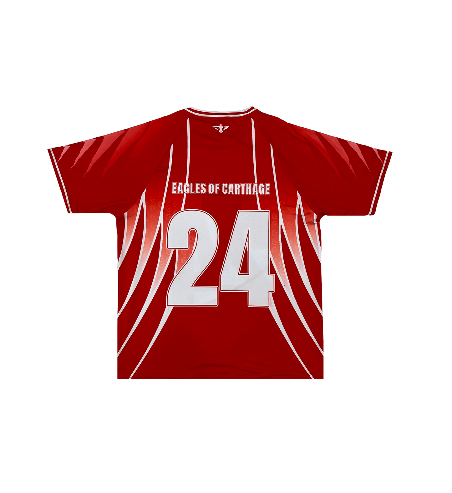 Reversible Tunisia jersey