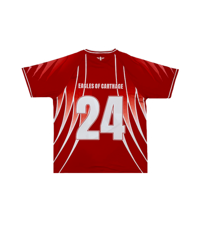 Reversible Tunisia jersey